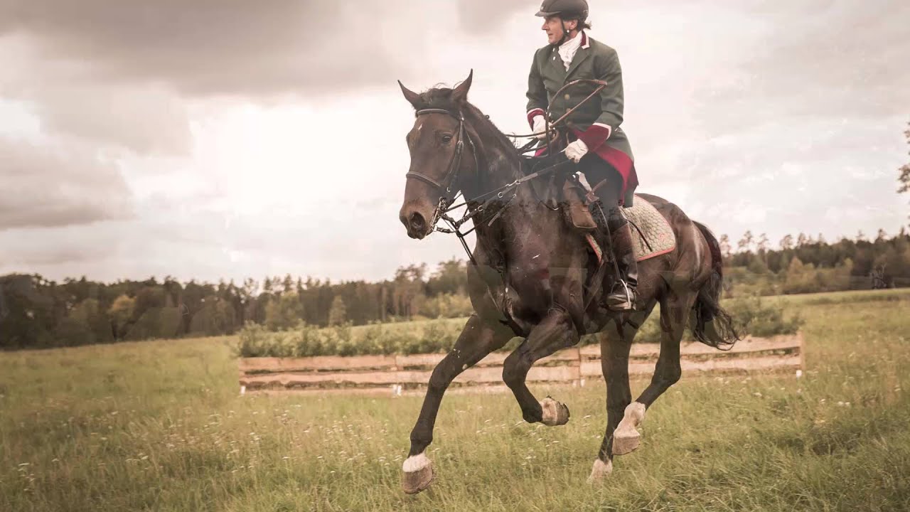 27.Große Herbstjagd in Roth