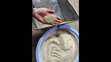 rice color sorter -M32