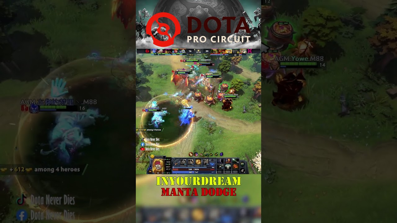 INYOURDREAM MANTA DODGE 