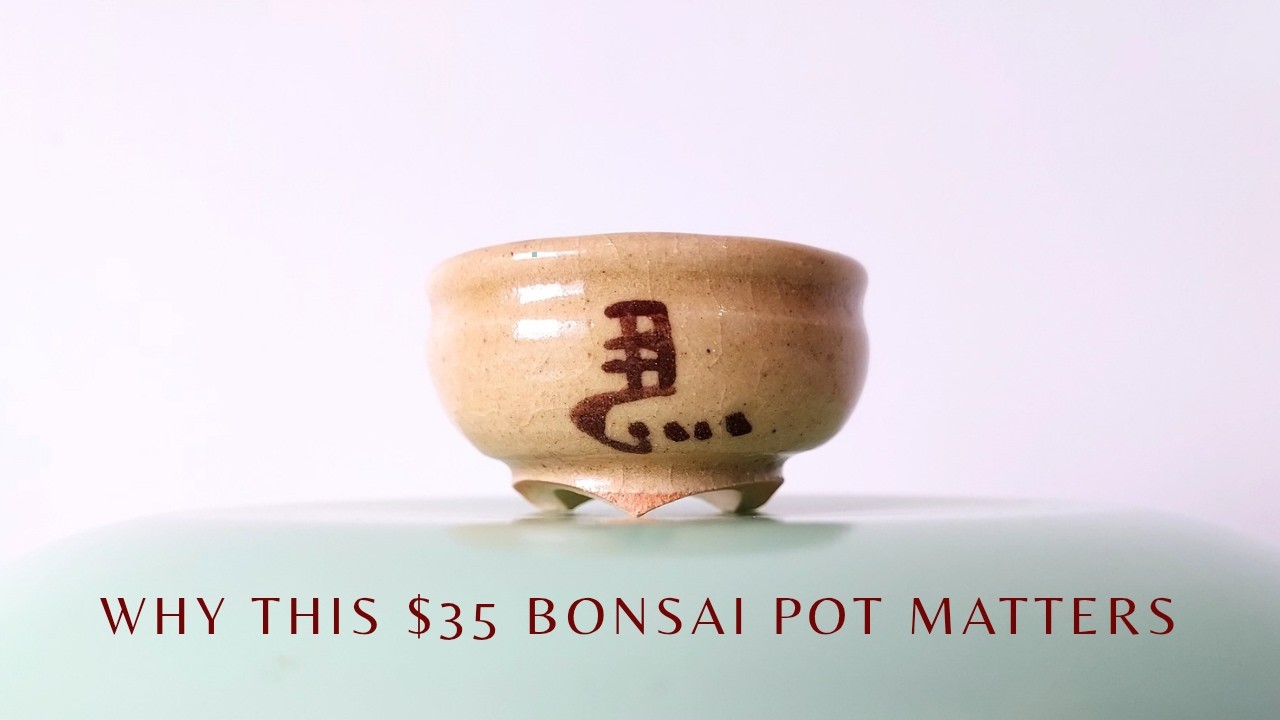 $35 Zeko Pot? 日々是好日 - YouTube
