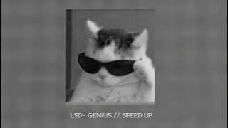 ☆LSD - GENIUS // SPEED UP☆