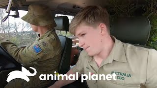 En busca del bienestar animal junto al ejercito australiano  | Los Irwin | Animal Planet by Animal Planet Latinoamérica 3,644 views 8 days ago 10 minutes, 28 seconds