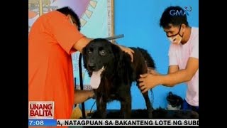 UB: Beterinaryo, lodi ng mga hayop at ng simbahan screenshot 5