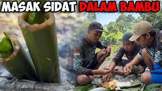 Download Lagu Jutaan Anak Ikan Bermigrasi! Kami Pasang Perangkap Sidat | Fishing Catch and Cook MP3 Download Lagu Jutaan Anak Ikan Bermigrasi! Kami Pasang Perangkap Sidat | Fishing Catch and Cook MP3