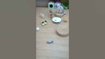 Cleaning up the messy house with Lefant M1 robot vacuum#lefant #shorts #cleanwithme #asmr #viral