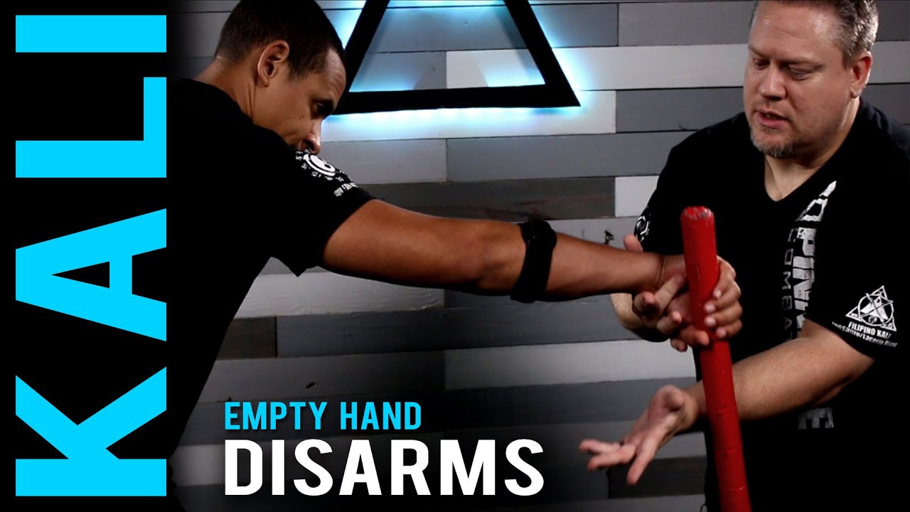 Empty Hand Disarm | Sean Elders|