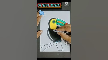 Simple Draw Keel-Billed-Toucan Bird              (Rainbow-billed-toucan)