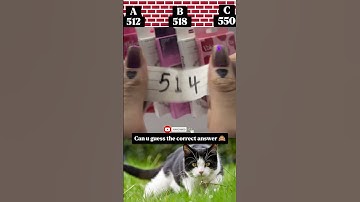 Only genius can guess the number 😱 | #edit #cat #troll #trollface #funny #usa #shorts #meme