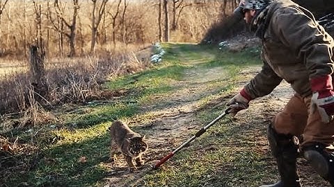 Modifying Traps For Predators: Tricks of the Trade - The Management Advantage #81