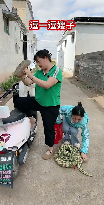 3xwnw2dqqwvbkku.mp4