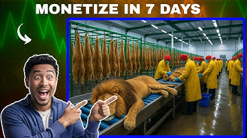 Deze geheime YouTube-niche staat op het punt te exploderen - stap erin zolang het nog kan