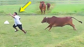 TRY TO NOT LAUGH CHALLENGE | Must Watch New Funny Video 2021 | Sml Troll Episode 11