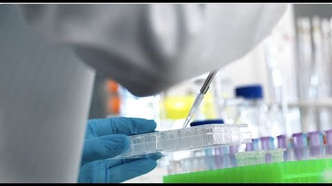 "Ça pourrait être un gros progrès" : des scientifiques révolutionnent la chimiothérapie