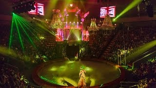 Уфу посетил «Королевский цирк» Телеканал "ВСЯ УФА" Уфу посетил «Королевский цирк» Телеканал "ВСЯ УФА"