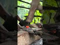 Village Blacksmith Crafting Sharp Blade from Scrap Iron🔥 Subscribe Now for More Amazing Blacksmith.