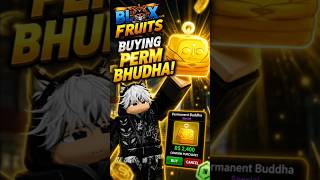 💸 I Finally Bought PERM BUDDHA! (Worth It?)