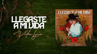 (LETRA) LLEGASTE A MI VIDA - Misael Espinoza (Lyric Video)