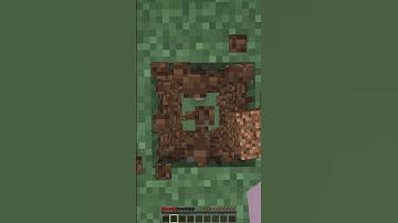 This video is not a loop 😯