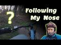 Hunting For Off Piste Trails at Canock Chase 👀