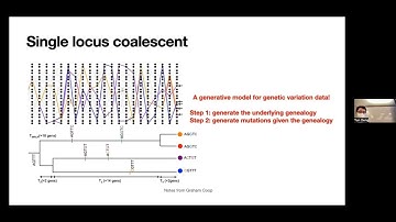 Introduction to computational population genetics