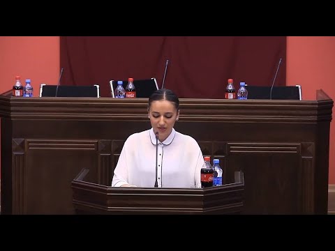 მაკა ტოხიშვილი საქართველოს პარლამენტში   Maka Tokhishvili in Parliament of Georgia, 2018