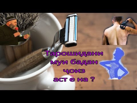 ХОЧИ МИРЗО6 ТАРОШИДАНИ МУЙИ БАДАН.