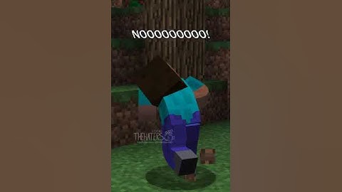 Steve? you gotta help me i