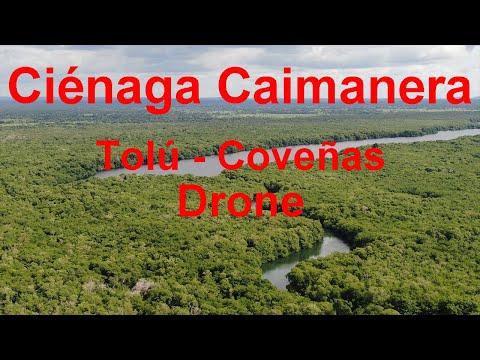 Morass of Caimanera,