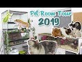 PET ROOM TOUR 2019