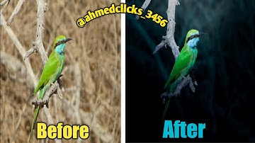 Transform wildlife photos into stunning low-key masterpiece ##PhotoEditing​#tutorial #famous #birds 