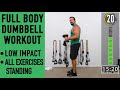 21 minute full body dumbbell workout  low impact  all standing  achv peak