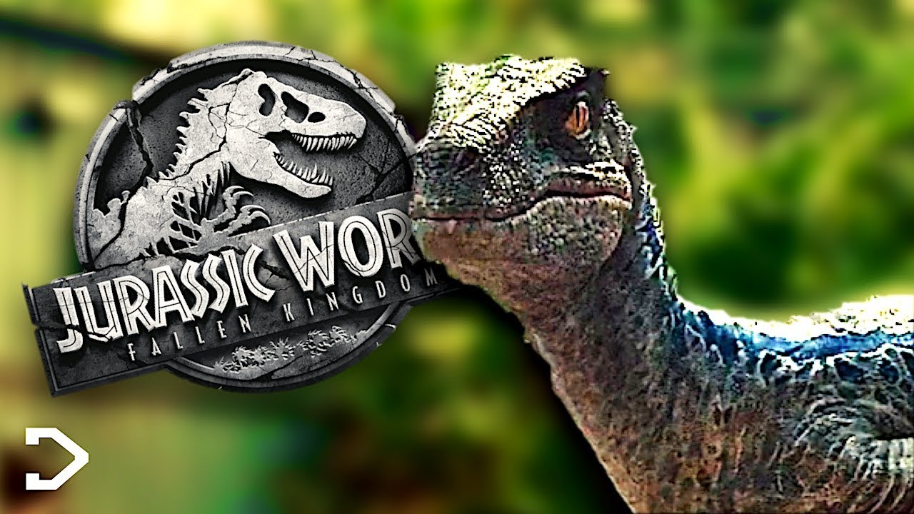 Is Blue Going To Die Jurassic World 2 Fallen Kingdom Youtube