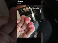 Capture de la vidéo Pain Of Playing Guitar For Beginners