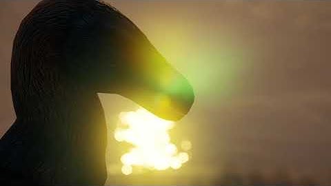 "Morgan" | Laten Showcase | Path of Titans