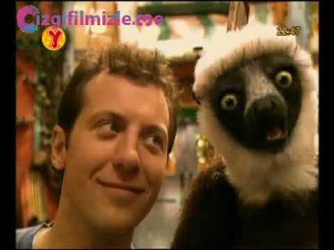 Zoboomafoo  24 Bölüm Türkçe İzle