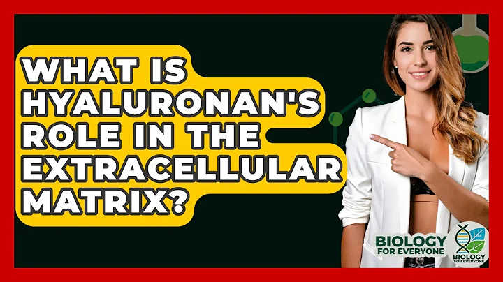 What Is Hyaluronan's Role In The Extracellular Matrix? - Biology For Everyone