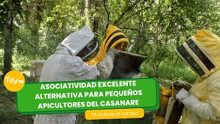Asociatividad excelente alternativa para pequeños apicultoresTvAgro por Juan Gonzalo Angel Restrepo