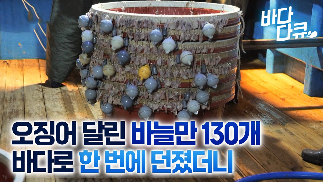 이상하게 생긴 대야 하나 들고 던졌더니 풍어다! 제대로 고기 잡는 어선 / 제주옥돔잡이 / #바다다큐