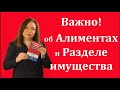 Что нужно знать об алиментах и разделе имущества