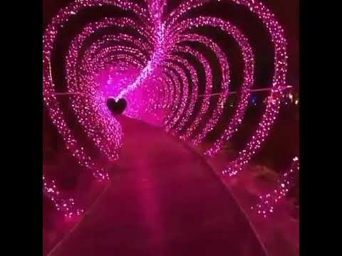معاك هقدر امشي واكمل