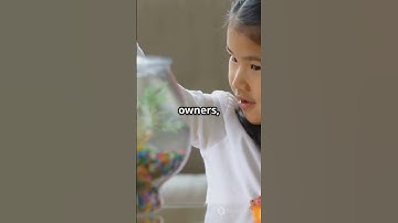 Goldfish Memory Myth Busted!