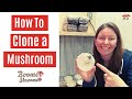 How to clone a mushroom