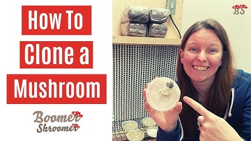 How to Clone a Mushroom
