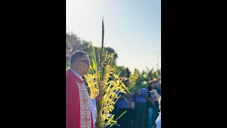 Palm Sunday/Domingo De Ramos 2024- Lent 2024