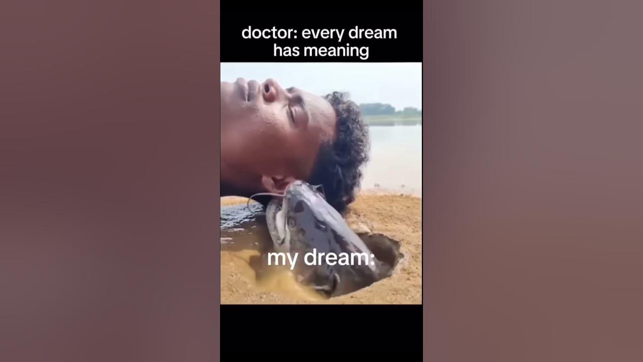 Every dream has meaning 💀#shorts #fyp #memes #funny #catfish #dreams