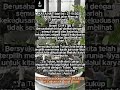 KATA HATI hari ini  27 11 2025 #lagu rohani #kata hati hari ini #cover #lagu #musik # #tiaraandini
