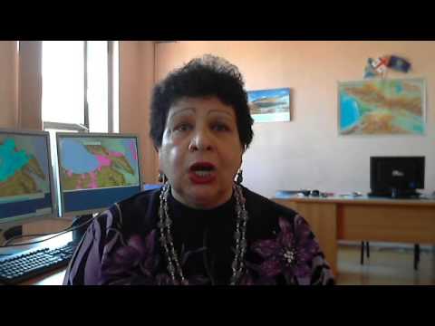 2 თებერვალი 2013წ. ამინდის პროგნოზი