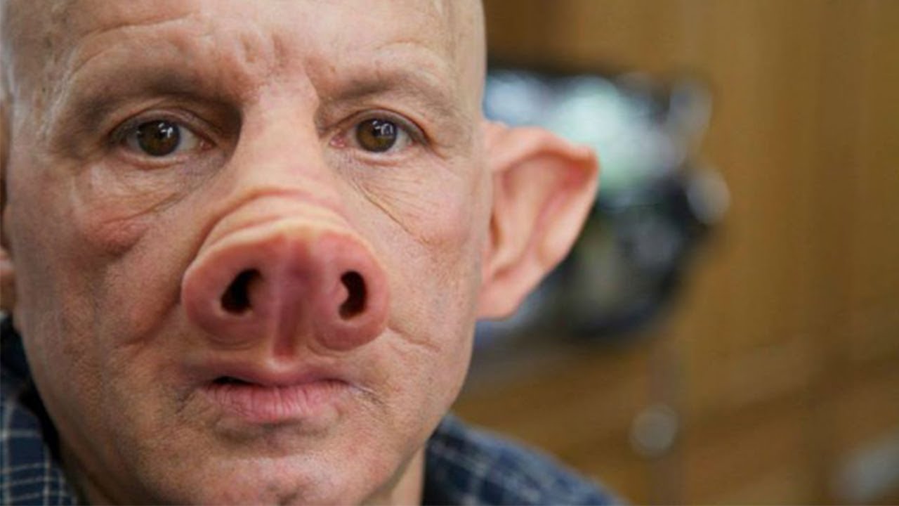 Image result for images of pig humans