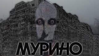 видео: МУРИНО. СЧАСТЬЕ или КОШМАР??? картинка: МУРИНО. СЧАСТЬЕ или КОШМАР???