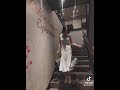 男が求める乳